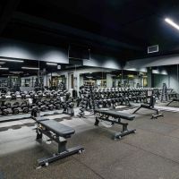 Гантельный ряд PROFESSIONAL (шаг 2,5 кг, 10 пар) PROFI-FIT 27,5-50 кг