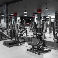 A605L Ягодичные мышцы стоя