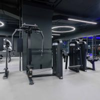 U3007D (E5007) Баттерфляй - задние дельты. Стек 109 кг