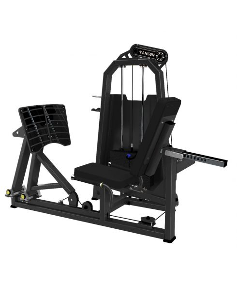 A2003 Жим ногами. Стек 100 кг